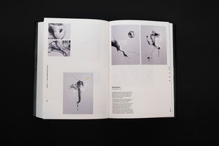 純凈邊境 《Pure North》書籍設計的美學探析